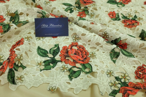 Gipiura Poliamid D&G Epica 02.jpg