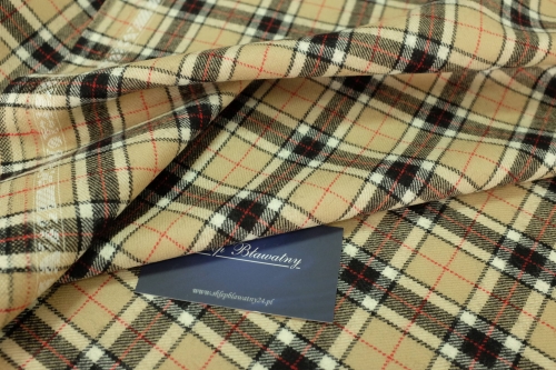 Tartan Beige 06.jpg