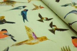Bawełna Lycra Pika Uccelli