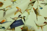 Bawełna Lycra Pika Uccelli 3245.jpg