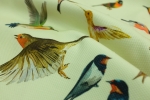 Bawełna Lycra Pika Uccelli 3250.jpg